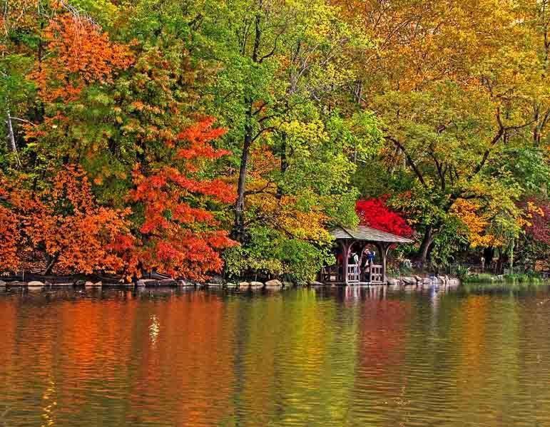 Central Park Bucureşti Rom bilde
